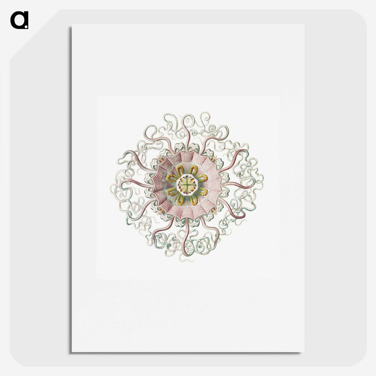 1-59_Ernst-Haeckel_picture