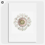 1-59_Ernst-Haeckel_picture