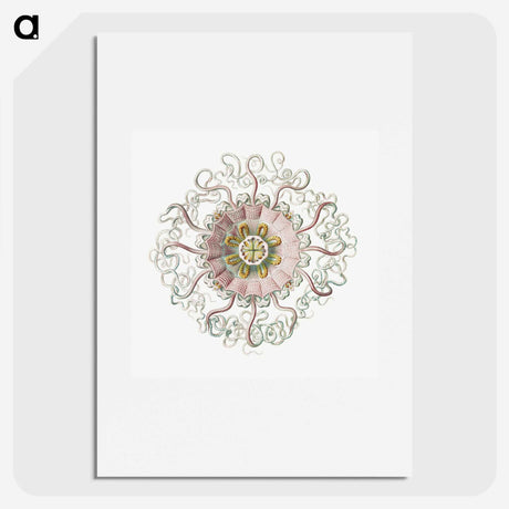 1-59_Ernst-Haeckel_picture