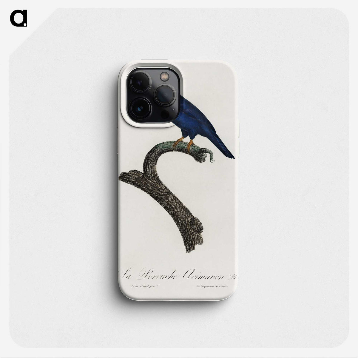 1-59_Francois-Levaillant_phone
