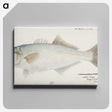 1-59_Frank-Edward-Clarke_canvas