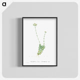 1-59_Histoire-des-Plantes-Grasses_blk-crop