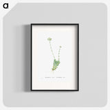 1-59_Histoire-des-Plantes-Grasses_blk