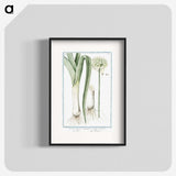 1-59_Hortus-Romanus-Botanical-Plates_blk