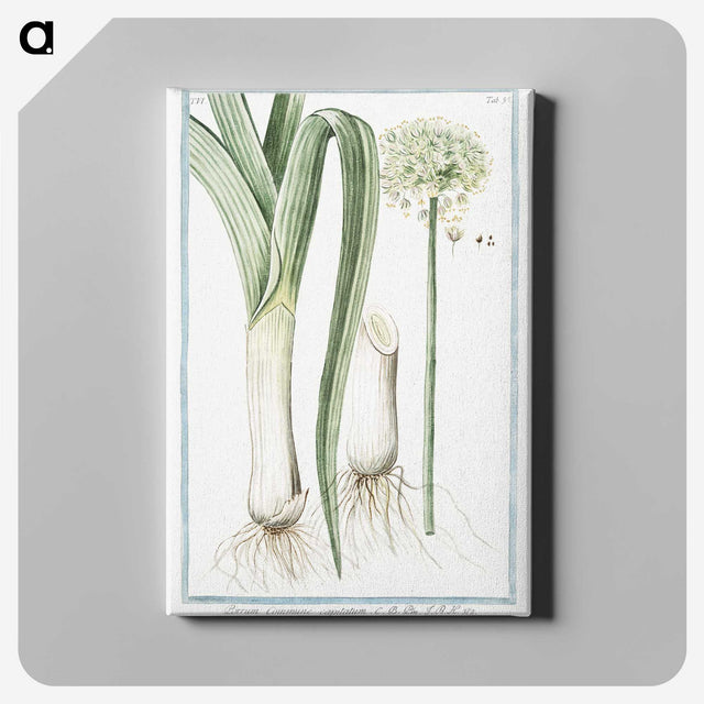 1-59_Hortus-Romanus-Botanical-Plates_canvas