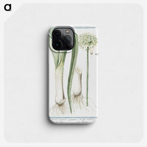 1-59_Hortus-Romanus-Botanical-Plates_phone
