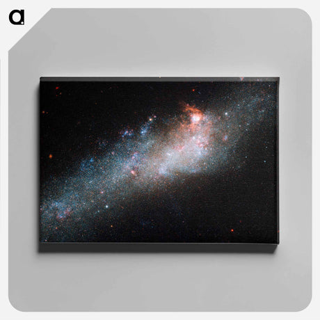 アートパネル-Hockey Stick Galaxy
 - ハッブル画像 Canvas.