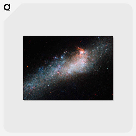 アートポストカード-Hockey Stick Galaxy
 - ハッブル画像 Postcard.