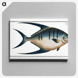 1-59_Ichtyologie-ou-Histoire-naturelle_canvas