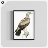 1-59_Indian-Zoology_blk-crop