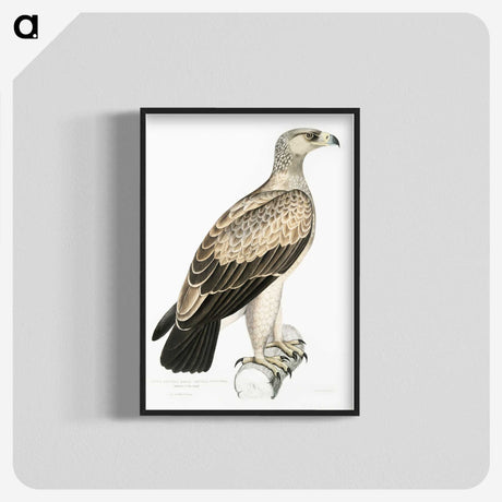 1-59_Indian-Zoology_blk-crop