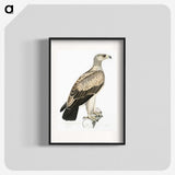 1-59_Indian-Zoology_blk