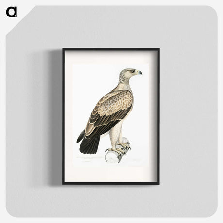 1-59_Indian-Zoology_blk