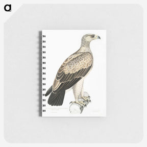 1-59_Indian-Zoology_memo