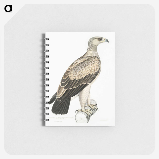 1-59_Indian-Zoology_memo