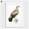 1-59_Indian-Zoology_picture