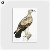 1-59_Indian-Zoology_postcard