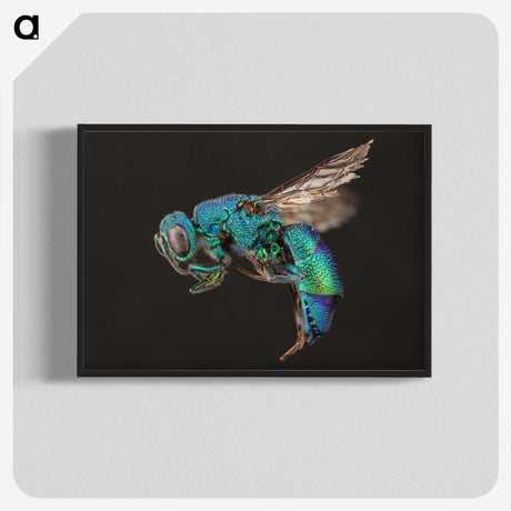 1-59_Insects-Unlocked-Project_blk-crop