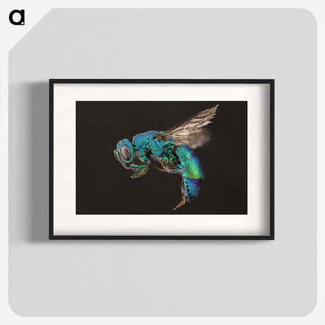 1-59_Insects-Unlocked-Project_blk