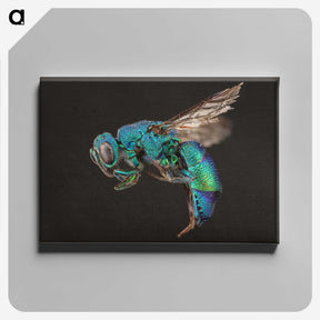 1-59_Insects-Unlocked-Project_canvas