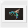 1-59_Insects-Unlocked-Project_picture