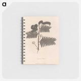1-59_James-Heath_memo
