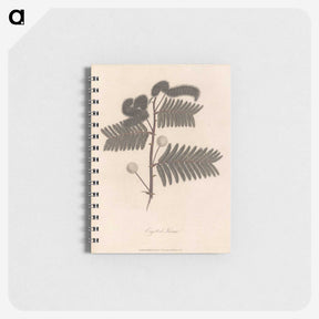 1-59_James-Heath_memo