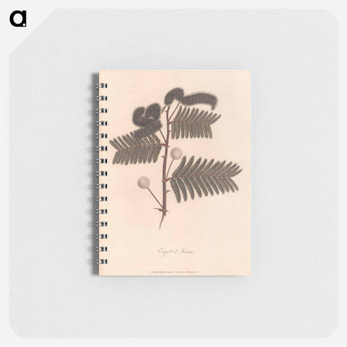 Ergett el Krome
 - ジェームス ヒース Memo.