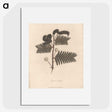 1-59_James-Heath_picture