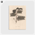 1-59_James-Heath_postcard