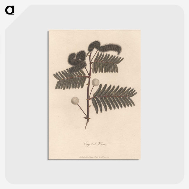 1-59_James-Heath_postcard