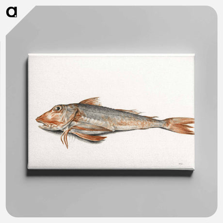 アートパネル-Fish - ジャン ベルナール Canvas.