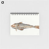 1-59_Jean-Bernard_memo