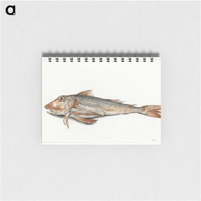 1-59_Jean-Bernard_memo