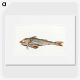 1-59_Jean-Bernard_picture