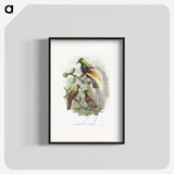 1-59_John-Gould_blk