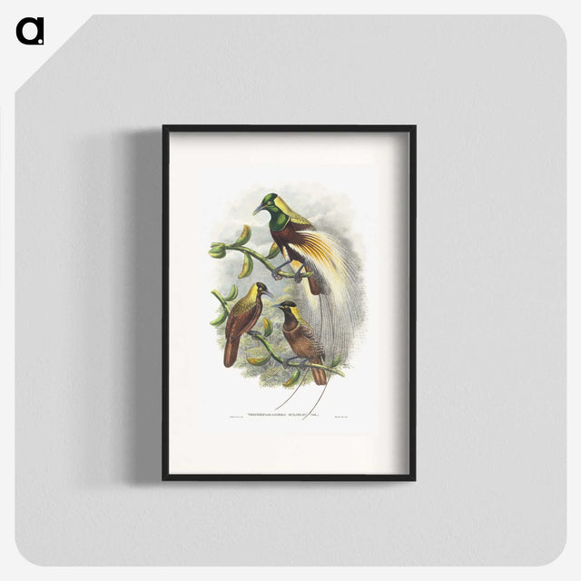 1-59_John-Gould_blk
