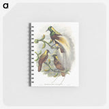 1-59_John-Gould_memo