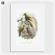 1-59_John-Gould_picture