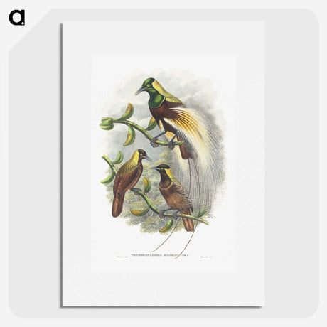 1-59_John-Gould_picture