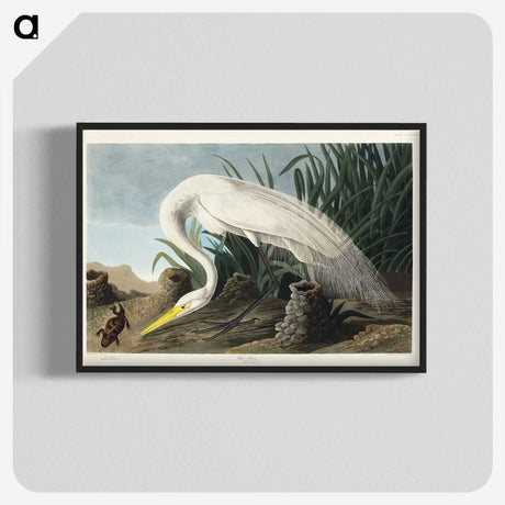1-59_John-James-Audubon_blk-crop