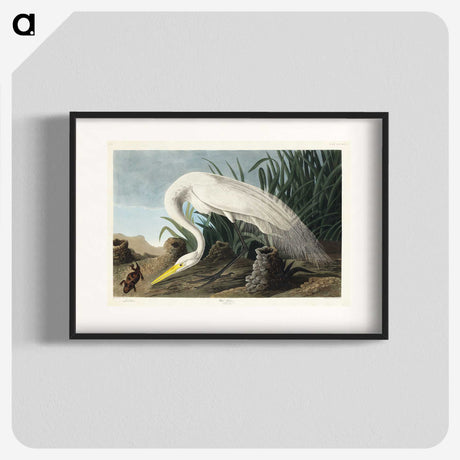 1-59_John-James-Audubon_blk