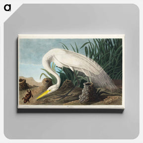 アートパネル-White Heron
 - ジョン ジェームス オーデュボン Canvas.