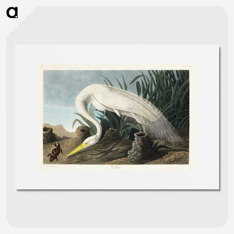 1-59_John-James-Audubon_picture
