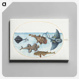 1-59_Joris-Hoefnagel_canvas