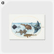 1-59_Joris-Hoefnagel_postcard