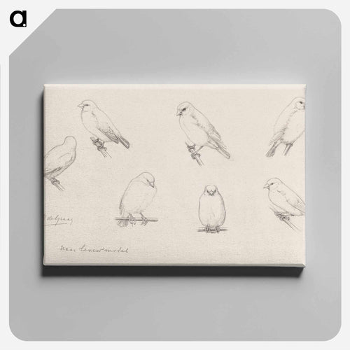 The canaries sketch - ユリー デ フラーハ Canvas.
