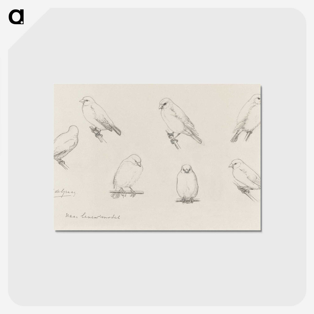 1-59_Julie-de-Graag_postcard