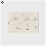 1-59_Julie-de-Graag_postcard