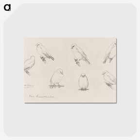 1-59_Julie-de-Graag_postcard